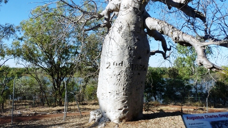 Gregory's Tree